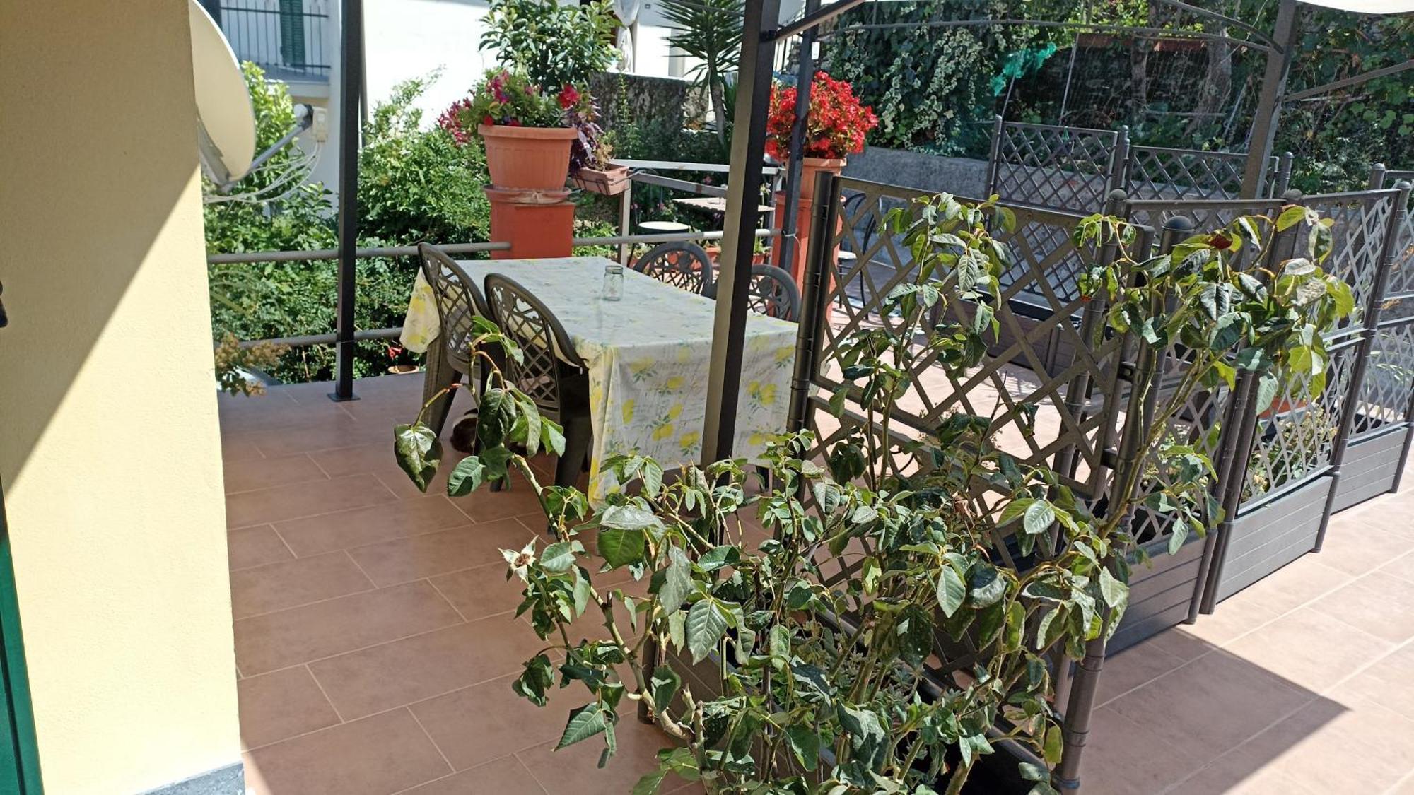 Villa Patrizia La Spezia Room photo